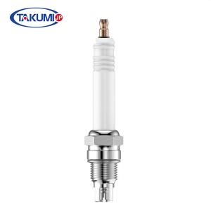 R10p3 Industrial Spark Plug