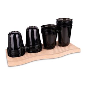 16oz PLA Disposable Cups Plastic Black Custom Beer Pong Cups Fda Approved