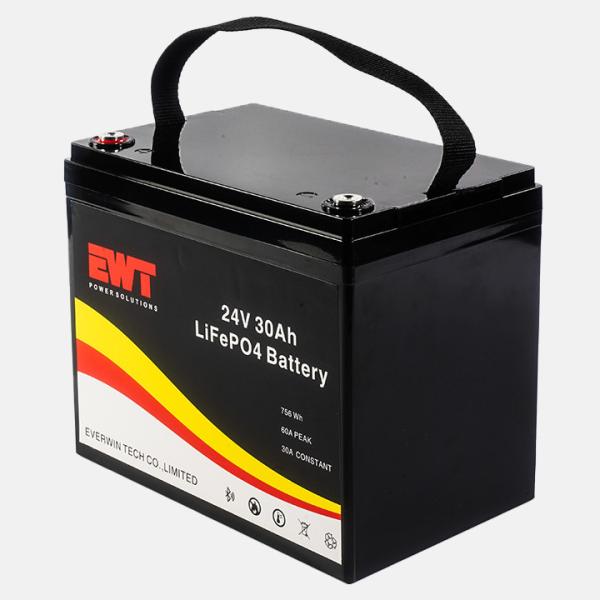 Environmentally Friendly 24V Lithium Iron Phosphate Battery with Affordable Cost