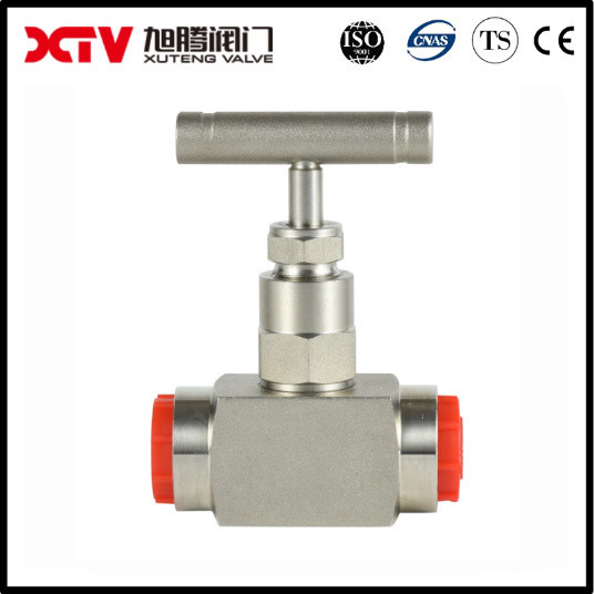 Customized Request Stainless Steel Needle Valve with Customization and BSPT
