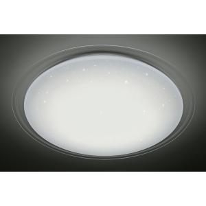 Light Weight 28W Remote Control Ceiling Light , φ500mm×91mm Wireless Ceiling