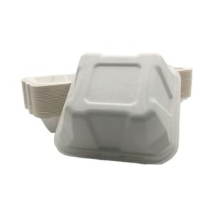 6 Inch Sugarcane Eco Hinged Biodegradable Takeout Containers
