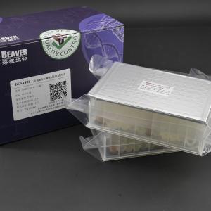 32 Reactions V Bottom Viral DNA RNA Kit For Viral Nucleic Acid Extraction