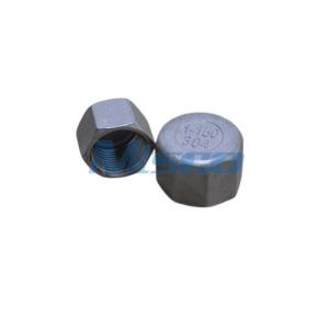 China 1 SR Polish 304 Stainless Steel Hexagon Cap Casting Pipe Fittings on sale