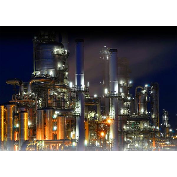 30W LED Security Flood Light