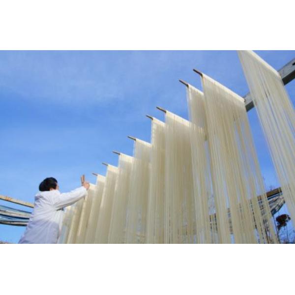 Custom Automatic Pasta Maker Machine Good Drying Effect Precise Weight Control