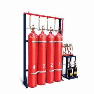 Advanced Pipe Network IG541 Automatic Fire Suppression System