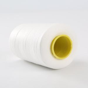 Wholesale 40/2 Embroidery Thread Dyed Sweing Thread 100% Polyester