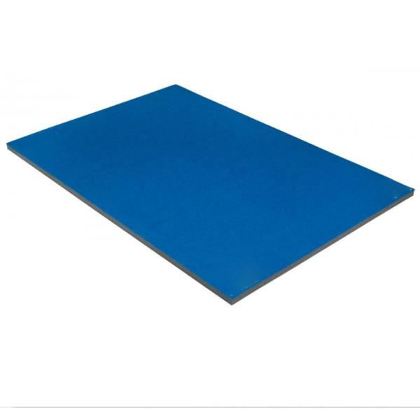 Gymnastics 20*20 Wholesale Practice High Quality Roll-Up Wrestling Mat