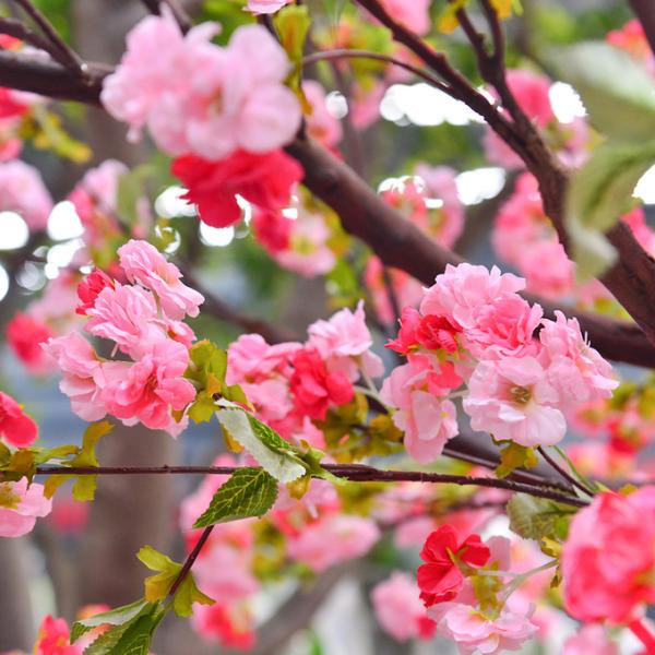 250cm Plastic Artificial Cherry Blossom Tree Decoration Plant For Reception Center