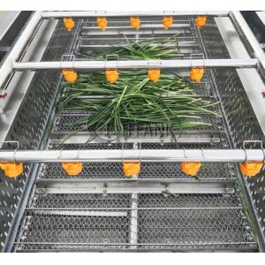 SUS304 Bubble Washer For Fruit And Vegetable Processing Line