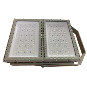 50000H Lifespan ATEX Explosion Proof LED Roadway Light 250W | CNEX Certified