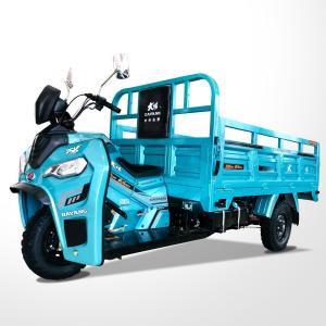 250cc 3 Wheel Cargo Motorcycle with 2.4m Length and Front Disc Rear Drum Brake