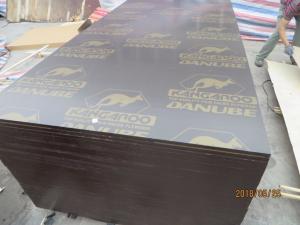 China KANGAROO  brown film faced plywood, China Marine Plywood Sheets,waterproof plywood sheets,form work on sale