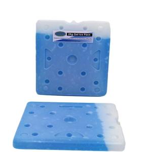 Custom Logo Large Reusable Food Frozen Ice Cooler Brick Cpsia Listed