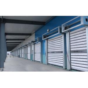 1000N Output Torque Spiral Security Garage Door with Remote Control and Aluminum