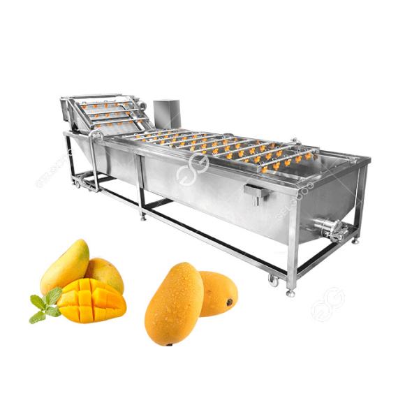 Sterilization And Disinfection Mango Washing Machine Fruit Washing Machine