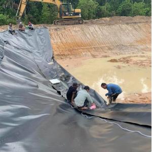 HDPE Geomembrane Impermeable Pond Liner Waterproof PE Black Plastic Pond Liner