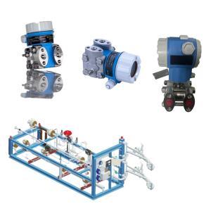 Chinese Skid- Mount Endress+Hauser Differential Pressure Transmitter Deltabar