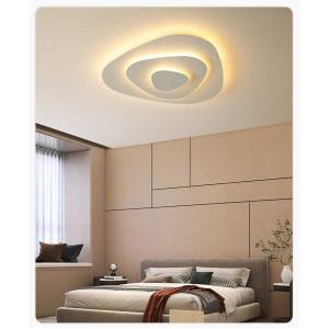Creative Ceiling Lamp with Remote Control 40cm 50cm Led Lights Lighting