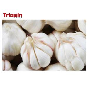 Garlic Paste Processing Line Fruit And Vegetable Processing Line Garlic