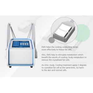 EMS frequency 30HZ Cryolipolysis Fat Freezing Machine