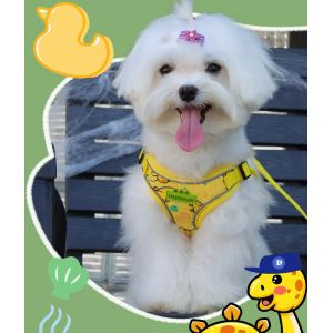 New dog leash small and medium-sized dog chest harness cartoon dinosaur dog