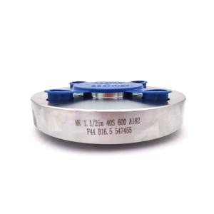 ASME ANSI B16.5 A182 F44 Steel Flange 2" Class 600 SS254 SMO Duplex Stainless