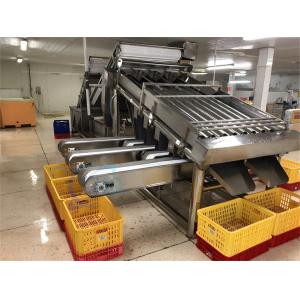 Seafood fish and shrimp processing plant size sorting machine Fish size sorting