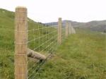 China Anping galvanized rust-proof wire mesh breeding fence mesh cattle and