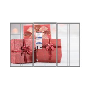 CRS Mail Parcel Delivery Lockers With Remote Control Function App Integration