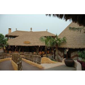 Artificial Synthetic Simulation Thatch Roof Material for Thatched Roof 500*500mm
