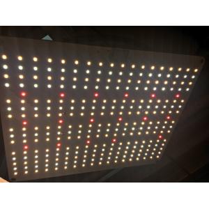 Internal Bonding 6500k ETL Led Quantum Board
