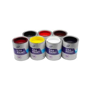 Get a Professional and Durable Finish with Our Plastic Suitable Car Body Paint