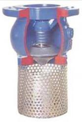 Ductile Iron Foot Valve With Stainless Steel Filter Strainer Single Flange Lift