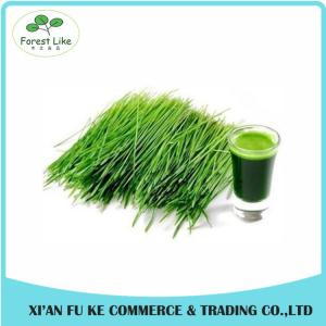 China High Quality Green barley grass juice powder on sale