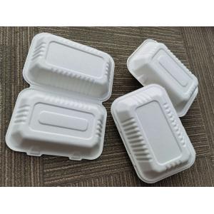 9×6 Inch Biodegradable To Go Food Containers