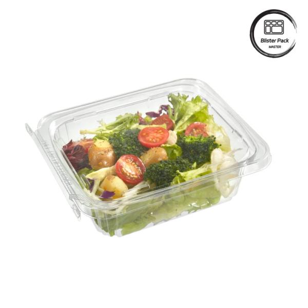 Quality Eco Friendly Recycled PET Salad Takeaway Containers  8-32oz Clear Plastic wholesale
