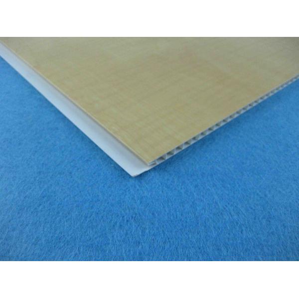 Quality Wooden Plastic Composite Wpc Wall Panel Wall For Roofing Structural wholesale