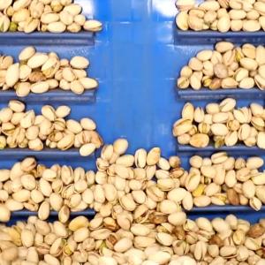 High Speed Pistachio Sorting And Grading Machine Computer Control 16 Channels
