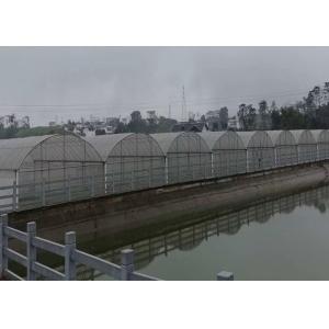 China Agricultural Plastic Poly Film Greenhouse Customized Length With Lock And Wire on sale