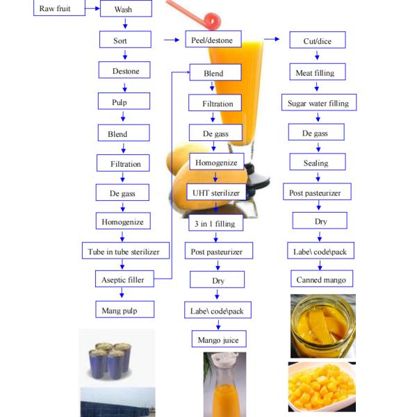 Customize Voltage Mango Pulp Processing Machine Automatic Grade