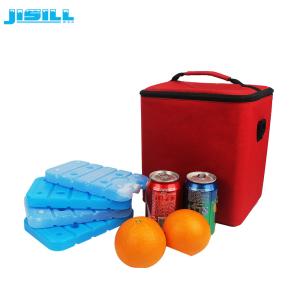 OEM Food Storage Eutectic Cold Plates Freezer Packs For Coolers 20 X 12 X 2cm