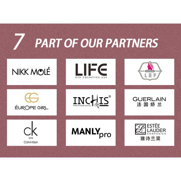 137A10908 Wooden Handle Makeup Brush Small Set 8PCS Portable Makeup Brush Set