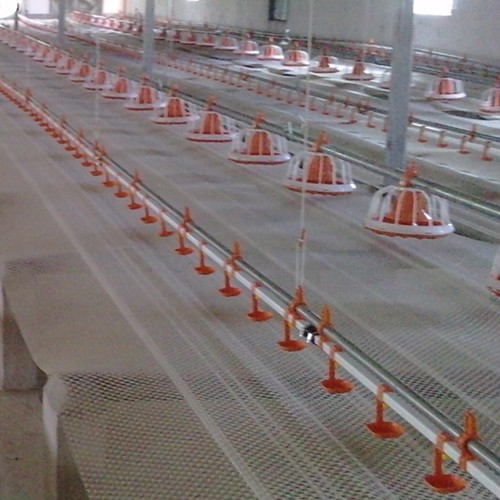 Quality 304 SS Broiler Breeder Farm Nipple System In Poultry Farm wholesale