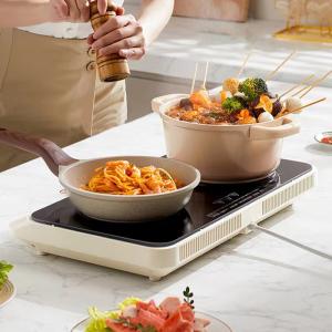 Intense Fire Function Electric Induction Cooker with Touch Buttons and NO App