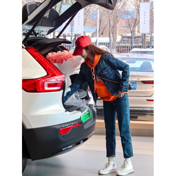 78kWh Battery Capacity Dual Motor Four-Wheel Drive Mobile APP Remote Control Electric SUV Cars VOL-VO XC40 RECHARGE AWD