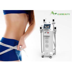 Cheap 3 size 4 handles cryo handles cryolipolysis equipment slimming lipocryo for sale
