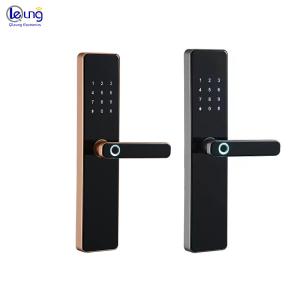 WiFi Tuya TTlock Smart Lock Door with Cloud Storage and Digital Password Key