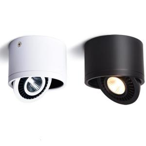 VERTEX 3W Surface Mounted Adjustable Downlight 80lm/Watt